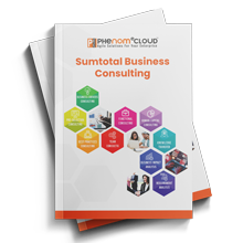 Datasheet_03_sumtotal_business_consulting_thumbnail